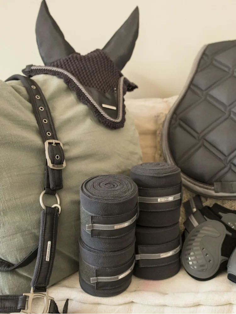 Kõrvad Aurora Lami-Cell