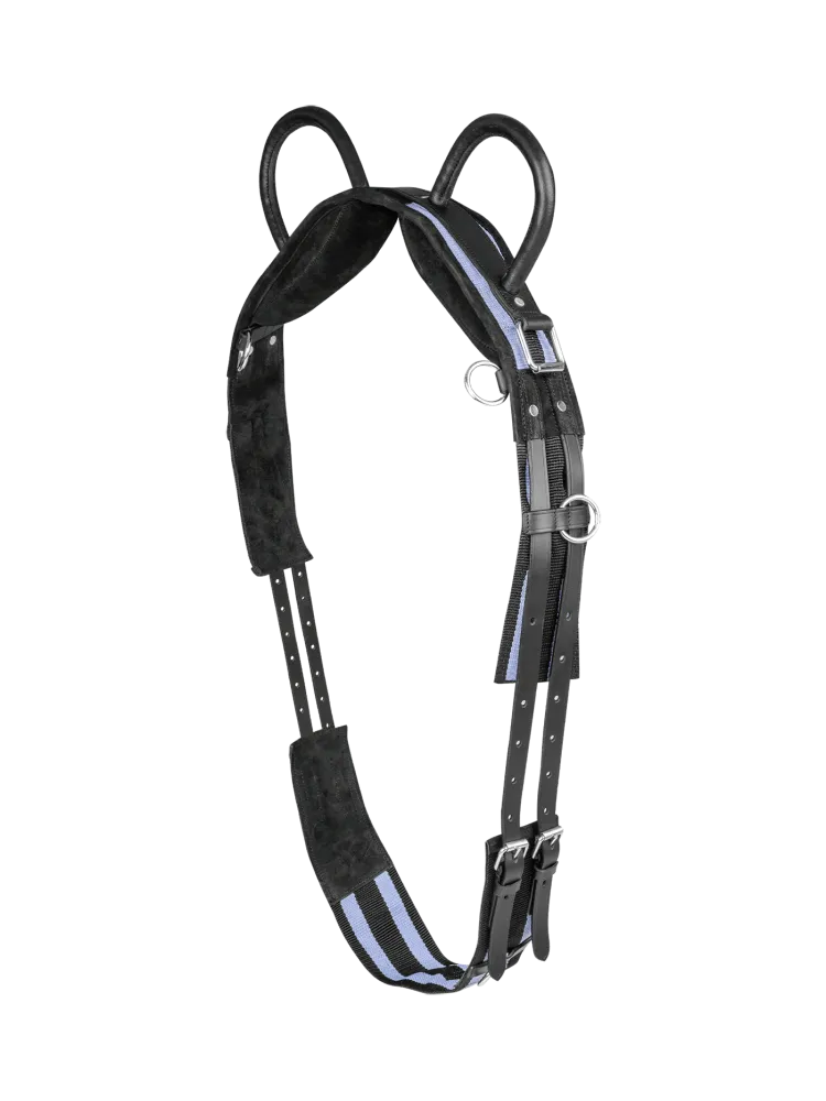 Voltižeerimise sedelgas Waldhausen