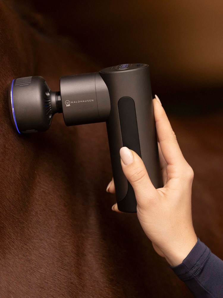 Hierontalaite Pro Massage Gun W-Health & Care