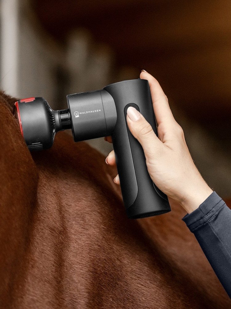 Hierontalaite Pro Massage Gun W-Health & Care