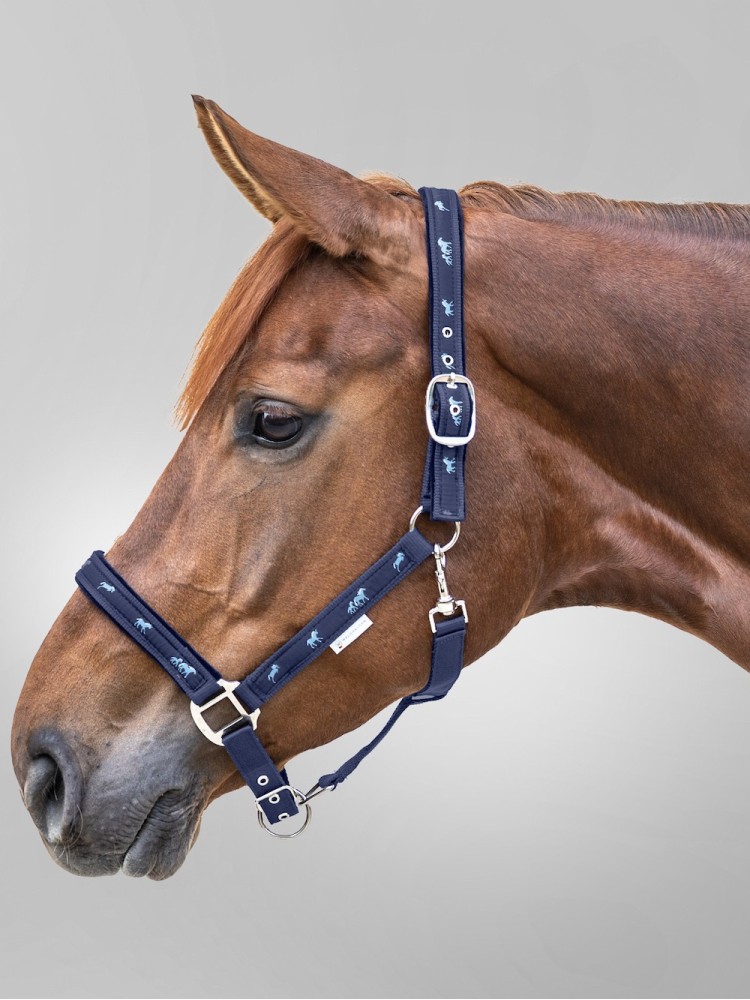 Riimu Little Horse Waldhausen