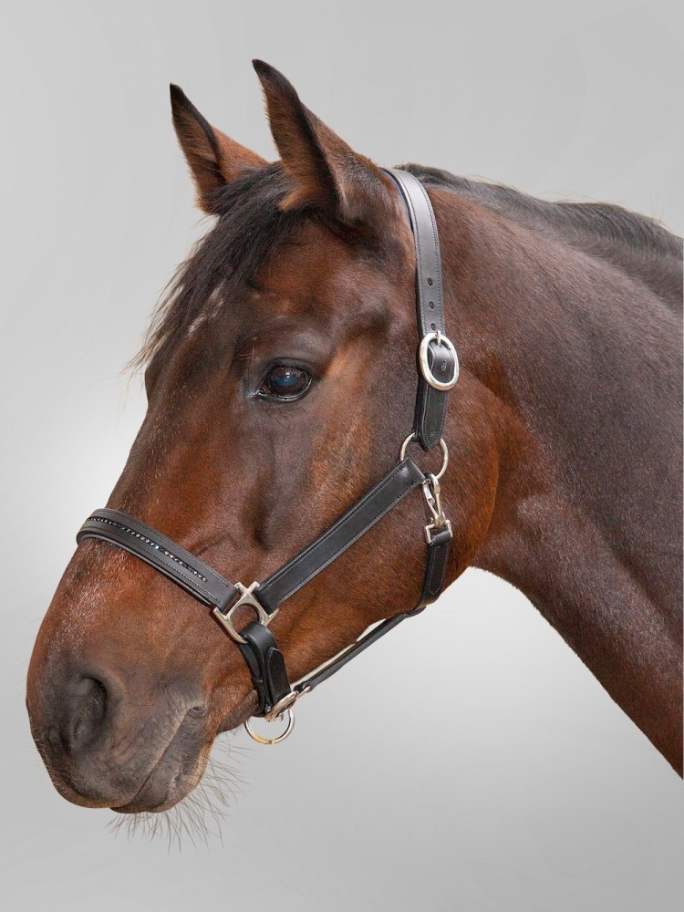 Nahkariimu Diamond Star