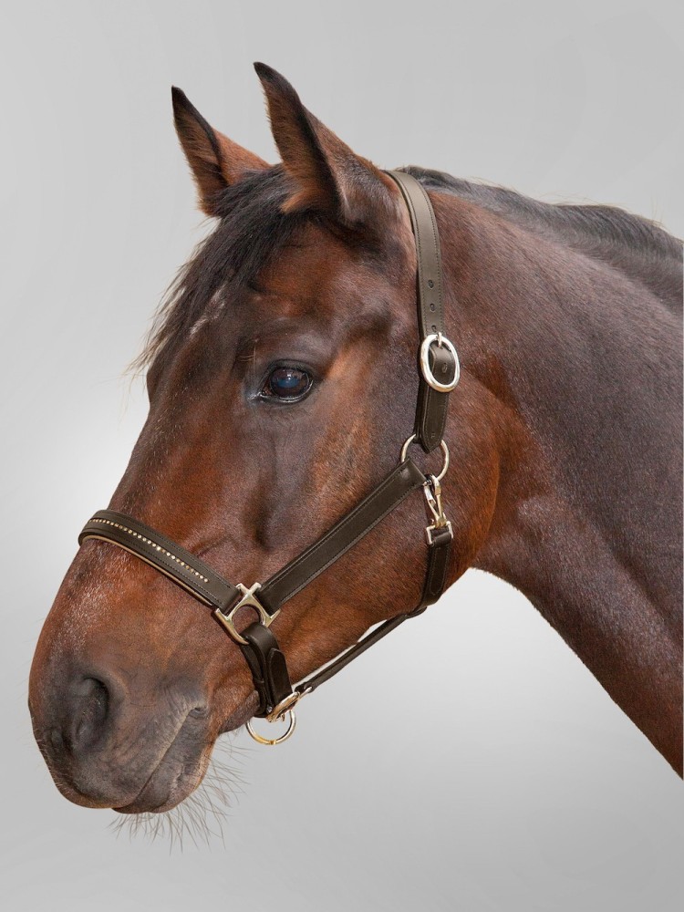 Nahkariimu Diamond Star