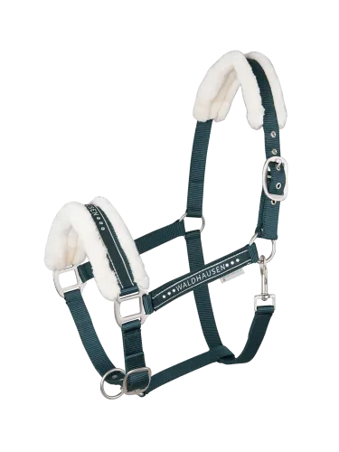 Riimu Elegant Waldhausen