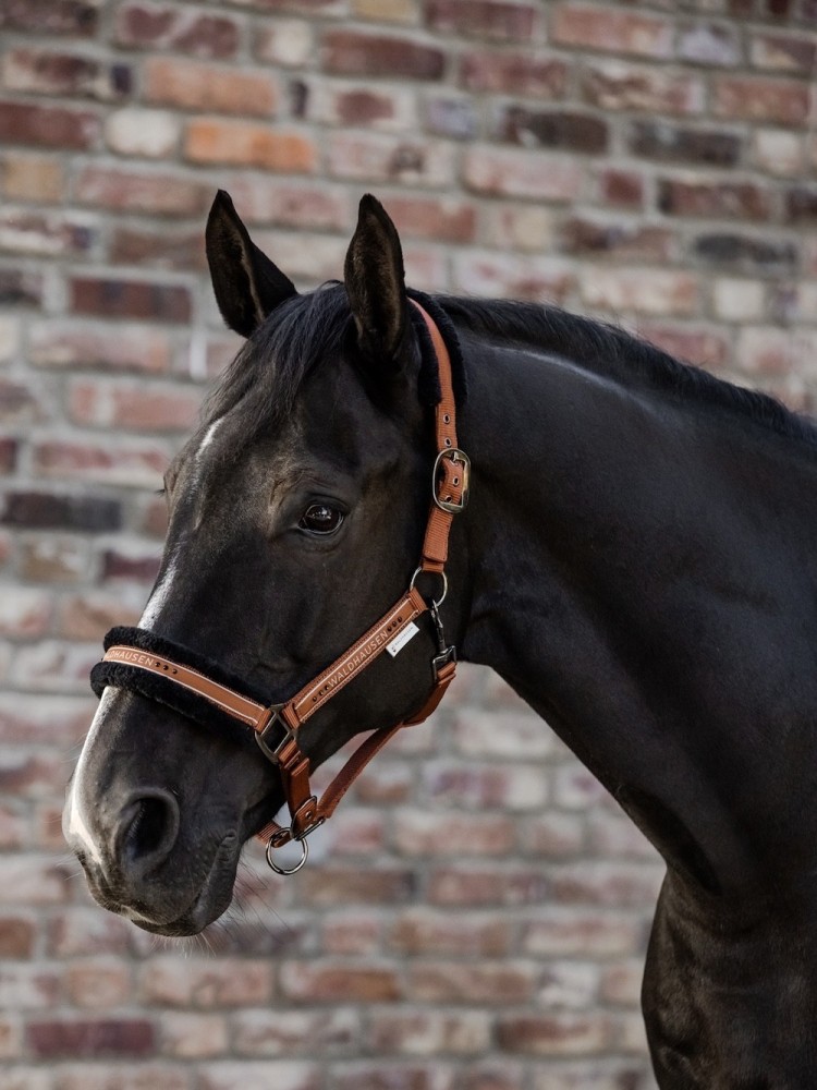 Riimu Elegant Waldhausen