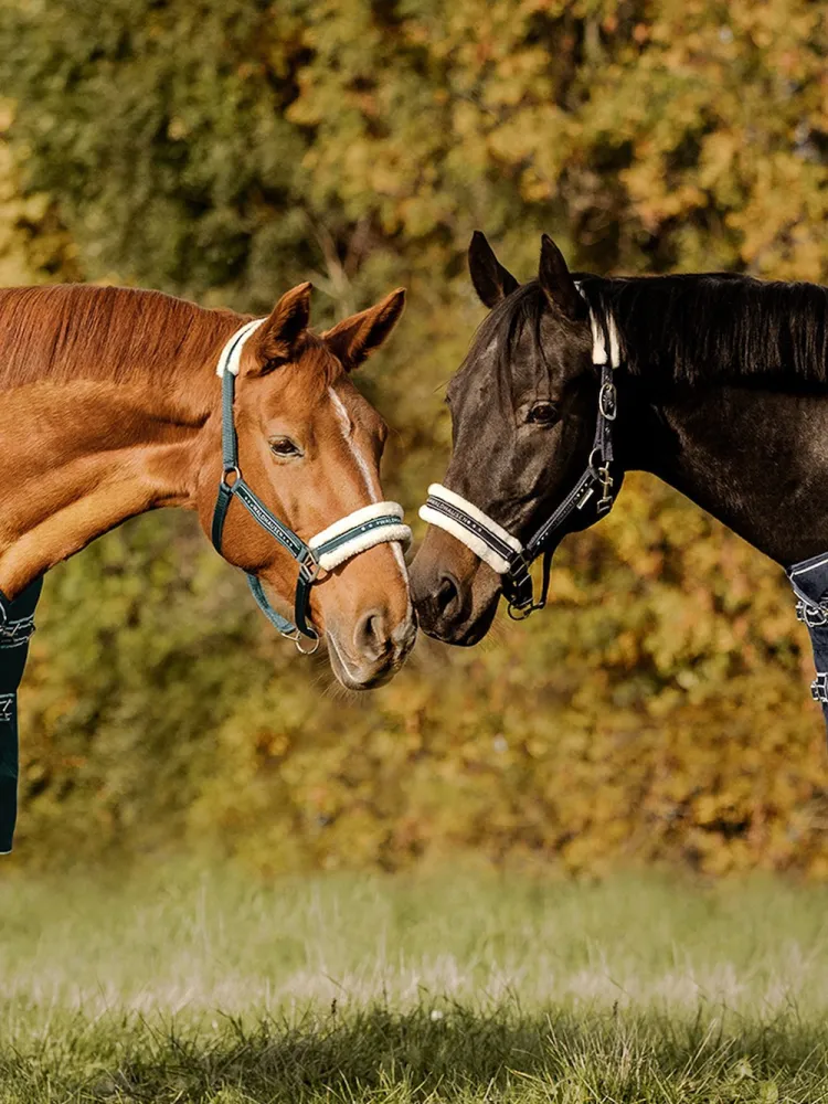 Riimu Elegant Waldhausen