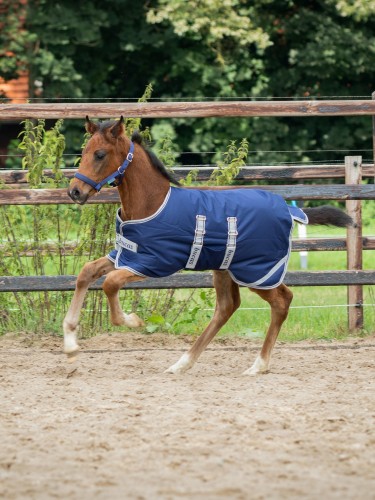 Varsaloimi Turnout 50g Bucas