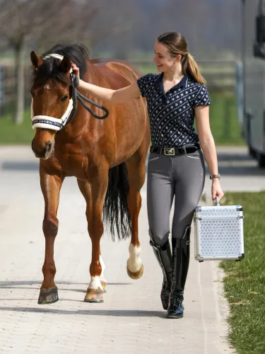 Harjalaatikko Shiny Imperial Riding