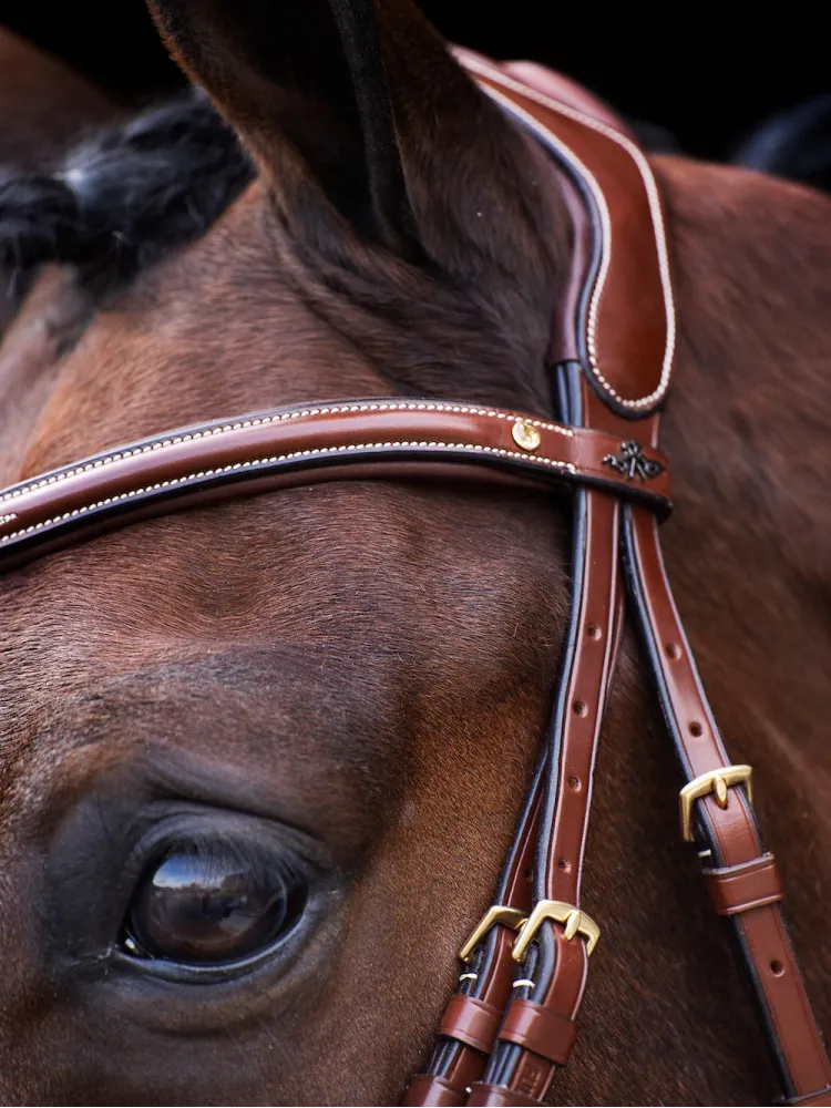 Suitset Legacy HV Polo