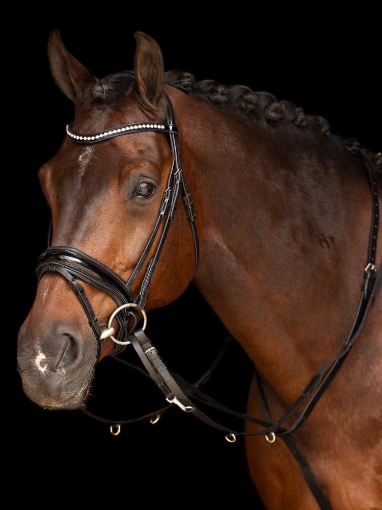 Thiedemannin ohja Core Imperial Riding
