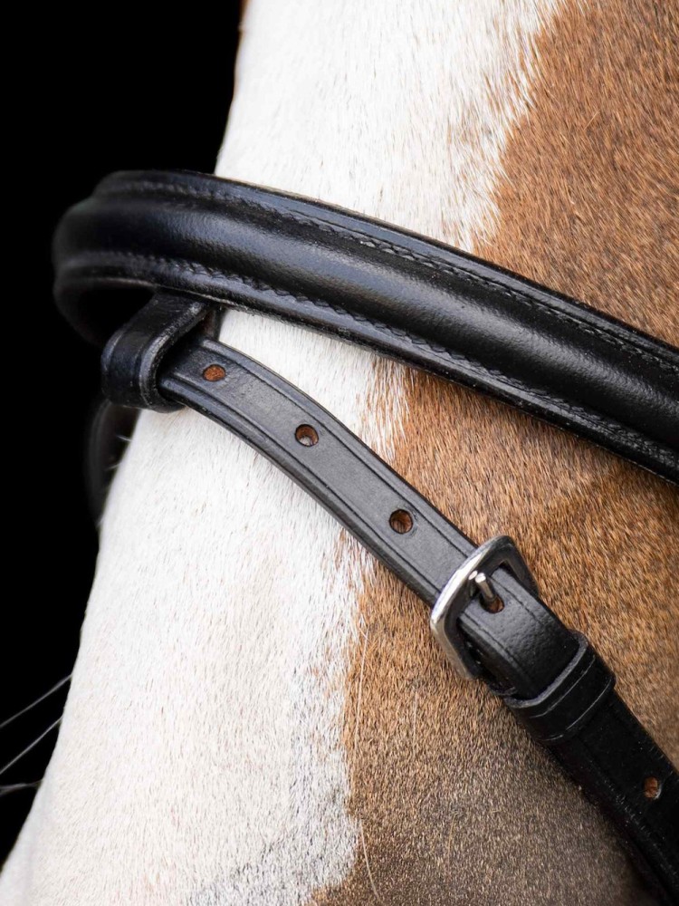 Shetlanninponin suitset Stormy Imperial Riding