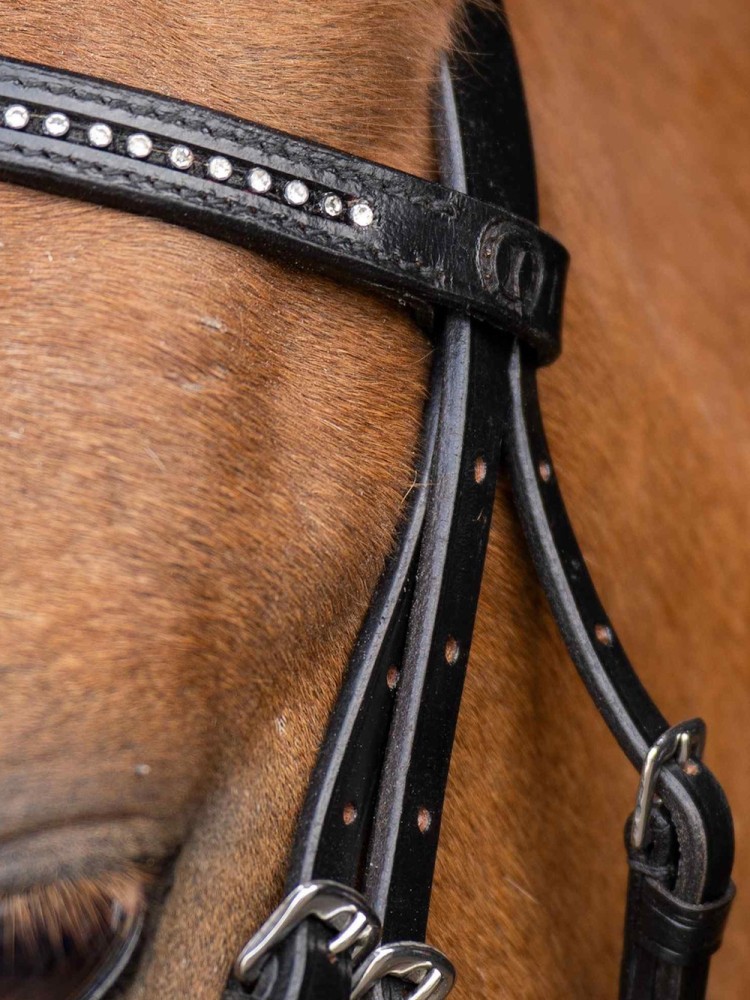 Shetlanninponin suitset Stormy Imperial Riding