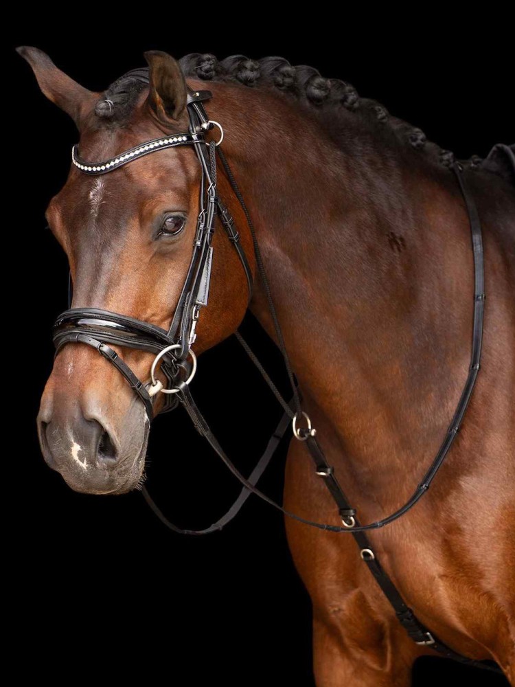 Chambon Core Imperial Riding