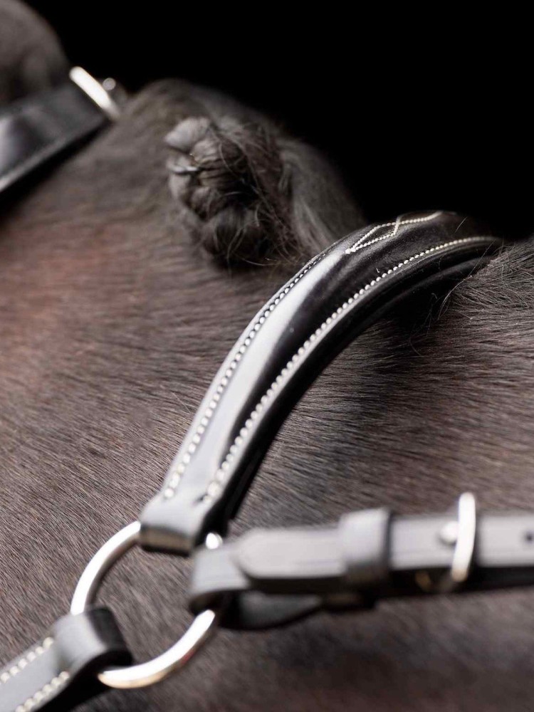 Martingaali Legacy HV Polo