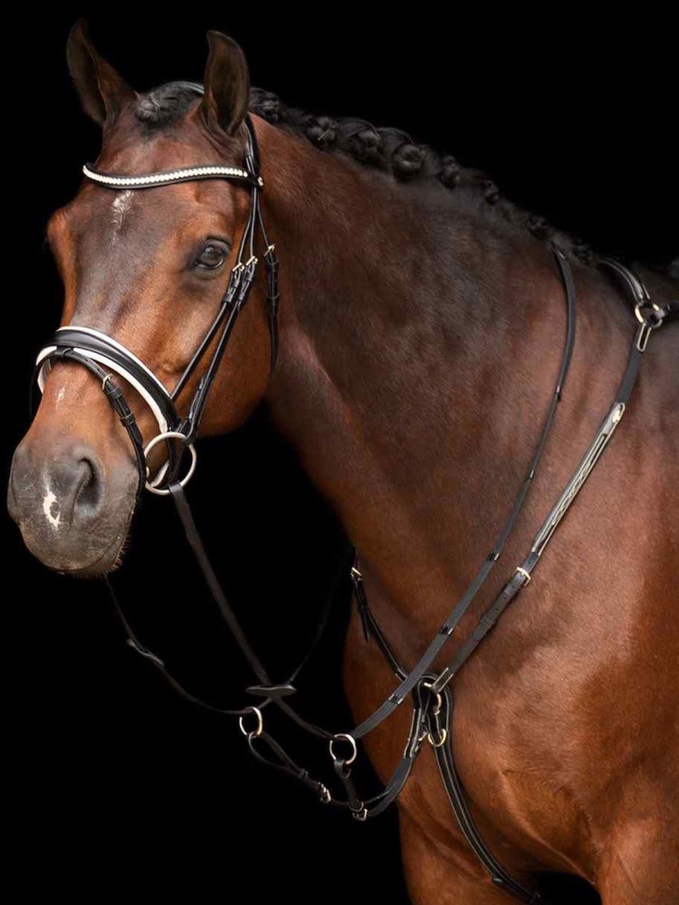 Martingaali Legacy HV Polo