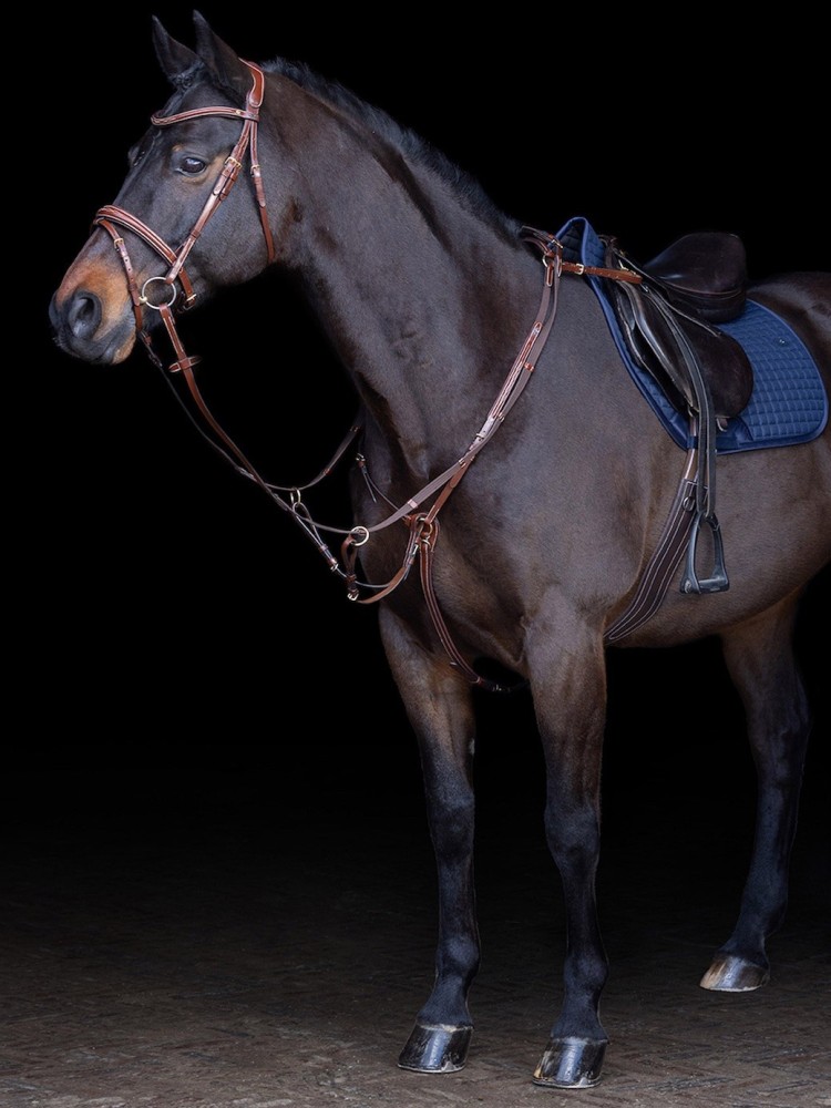 Martingaali Legacy HV Polo