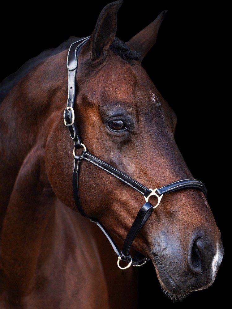Nahkariimu Legacy HV Polo