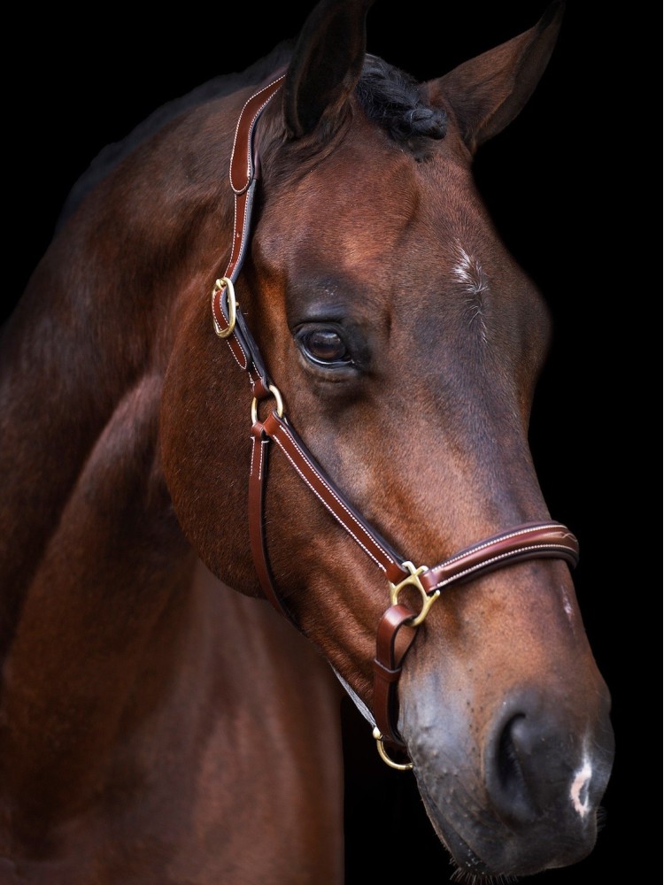 Nahkariimu Legacy HV Polo