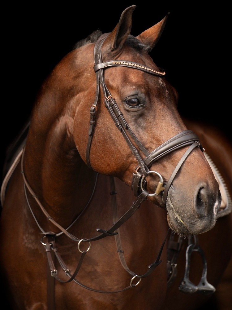 Martingaali Core Imperial Riding