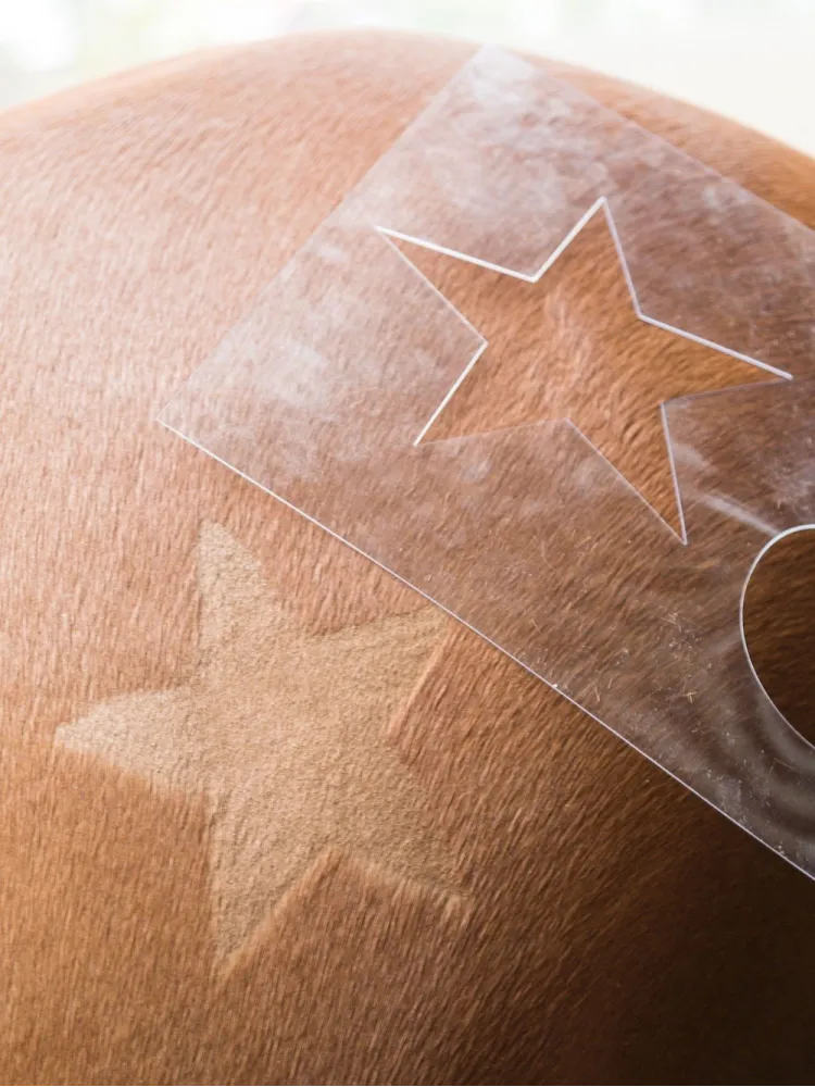 Sabluunasetti hevosen karvapeitteen leikkamiseen Kerbl 3 kpl