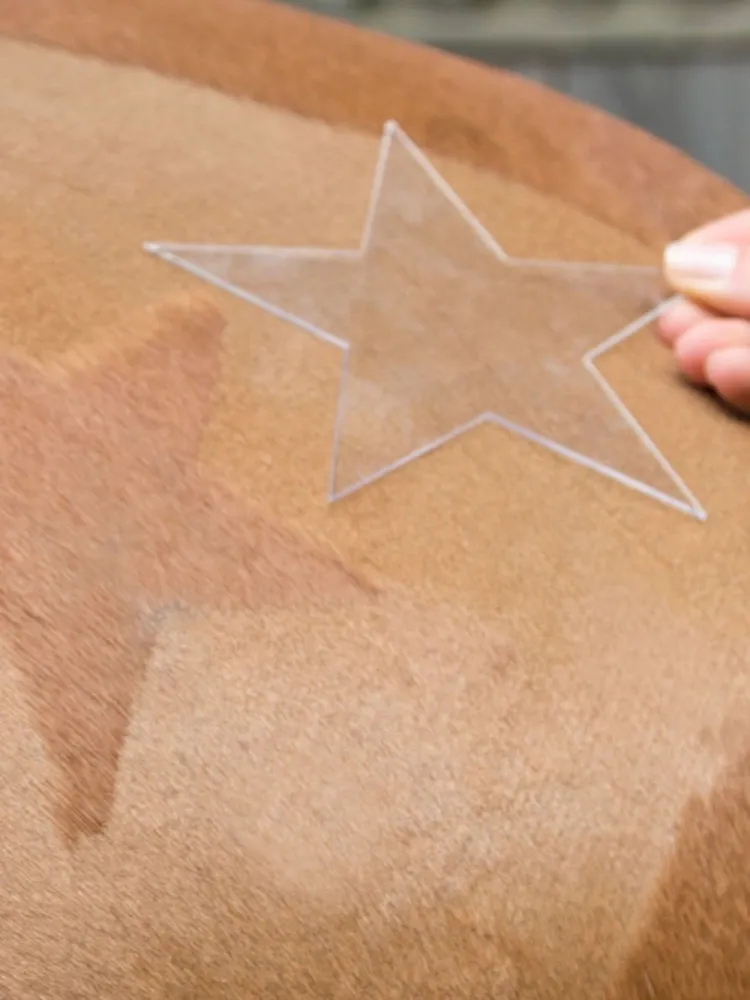 Sabluunasetti hevosen karvapeitteen leikkamiseen Kerbl 3 kpl