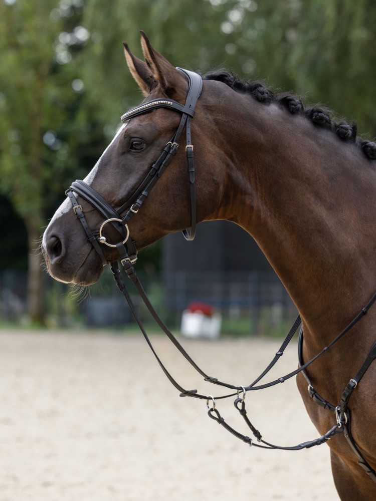 Suitset Clincher Covalliero
