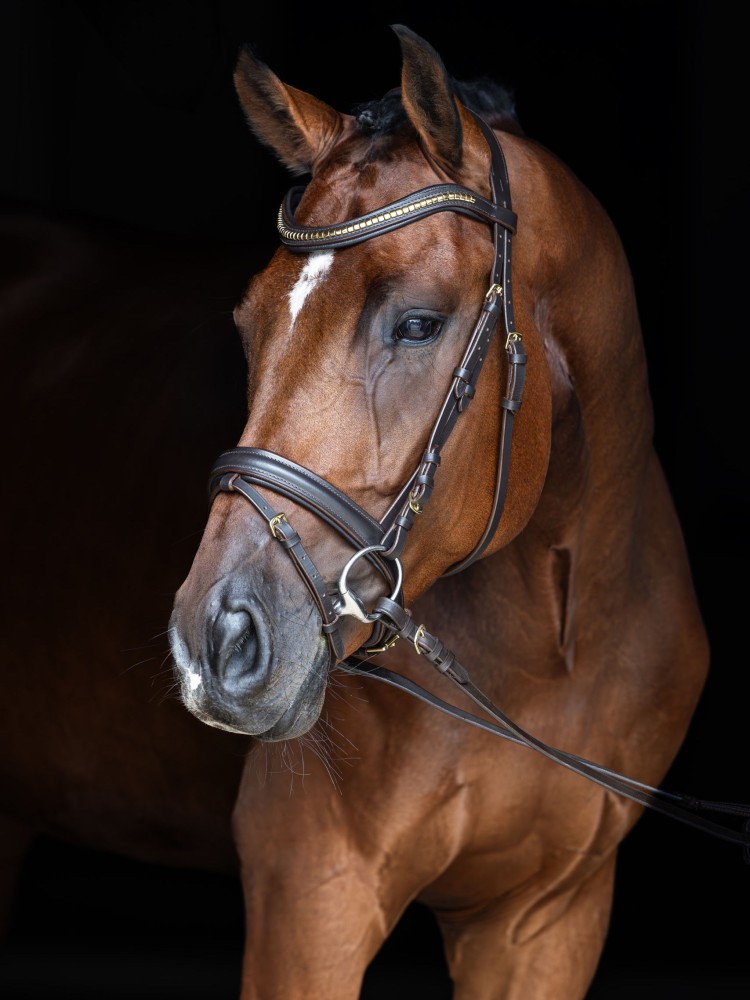Suitset Clincher Covalliero