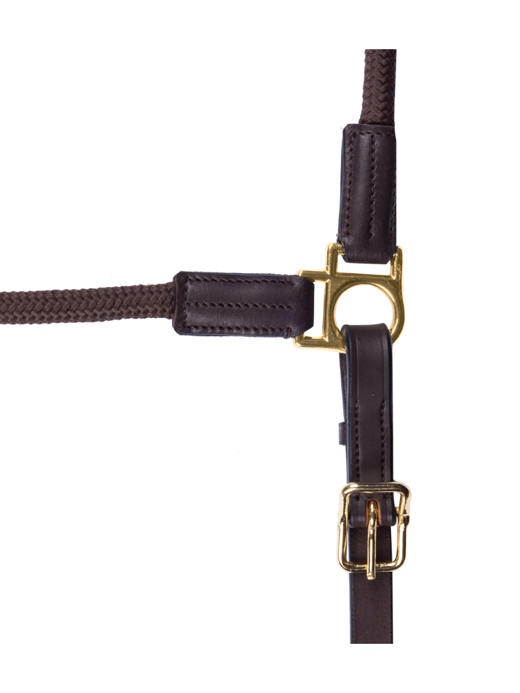 Riimu Nevada Waldhausen