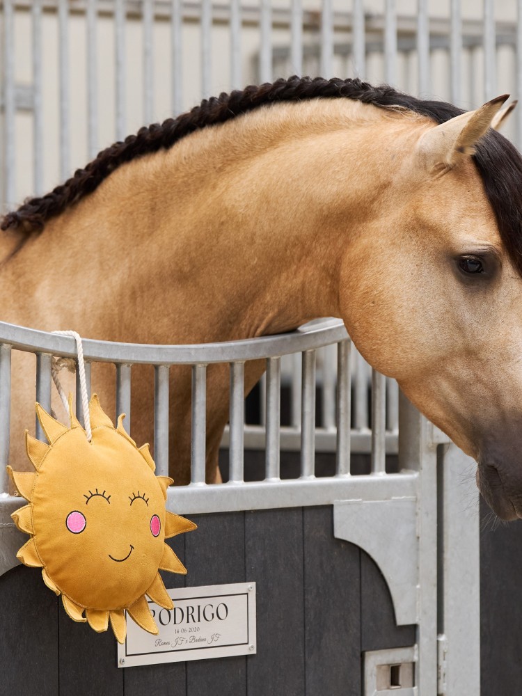 Hevosen lelu Sunny Imperial Riding