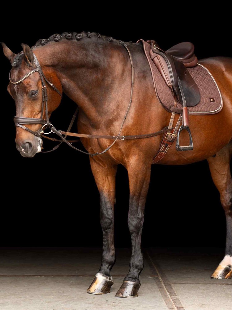 Nahkaiset sivuohjat Core Elastic Imperial Riding