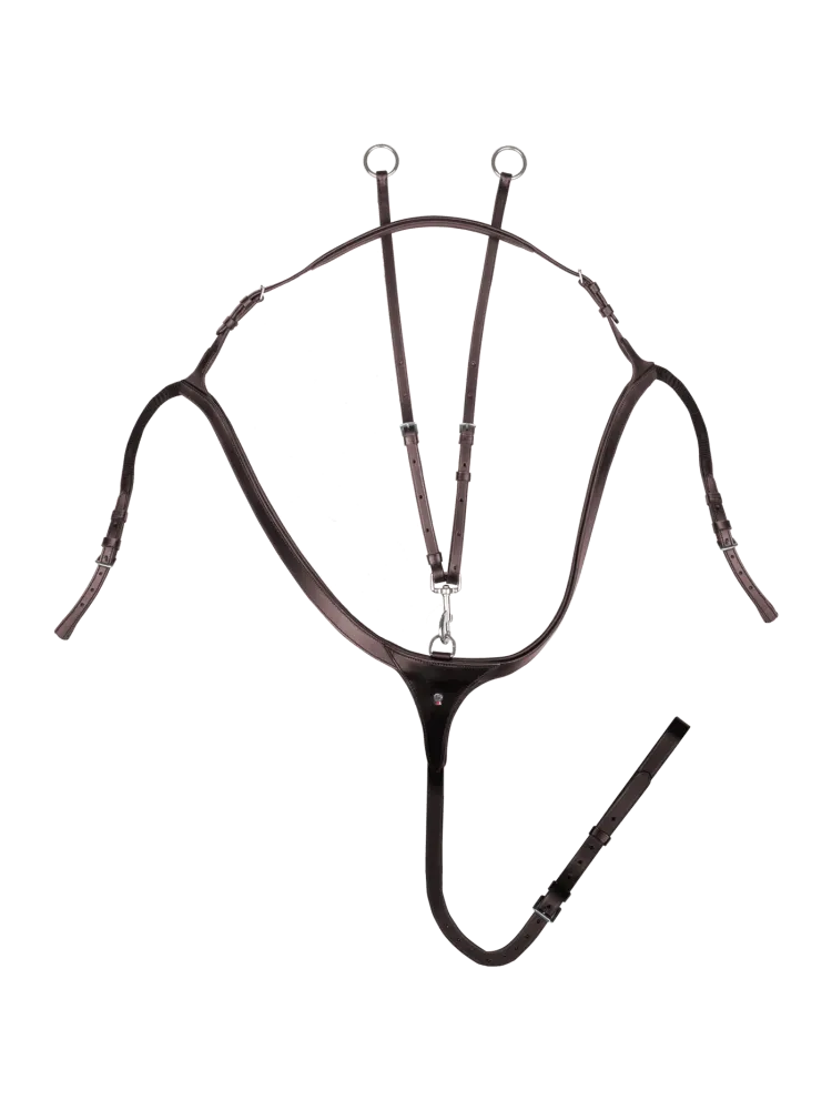 Martingaali rintaremmillä Long Bridge Waldhausen X-Line