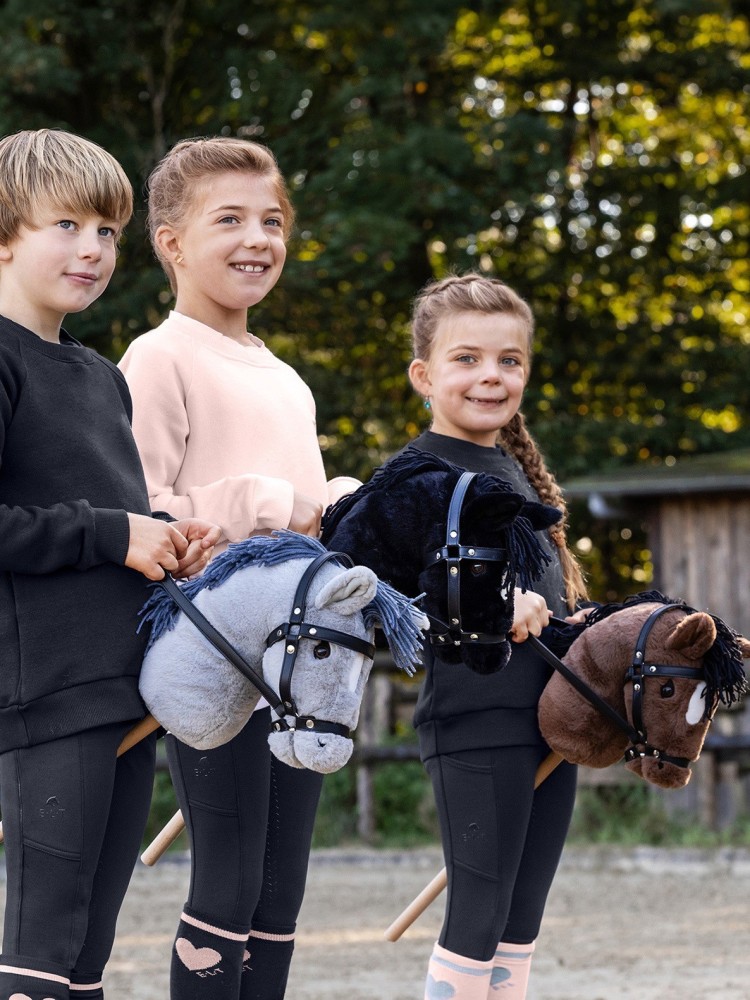 Keppihevonen Hobby horse Waldhausen