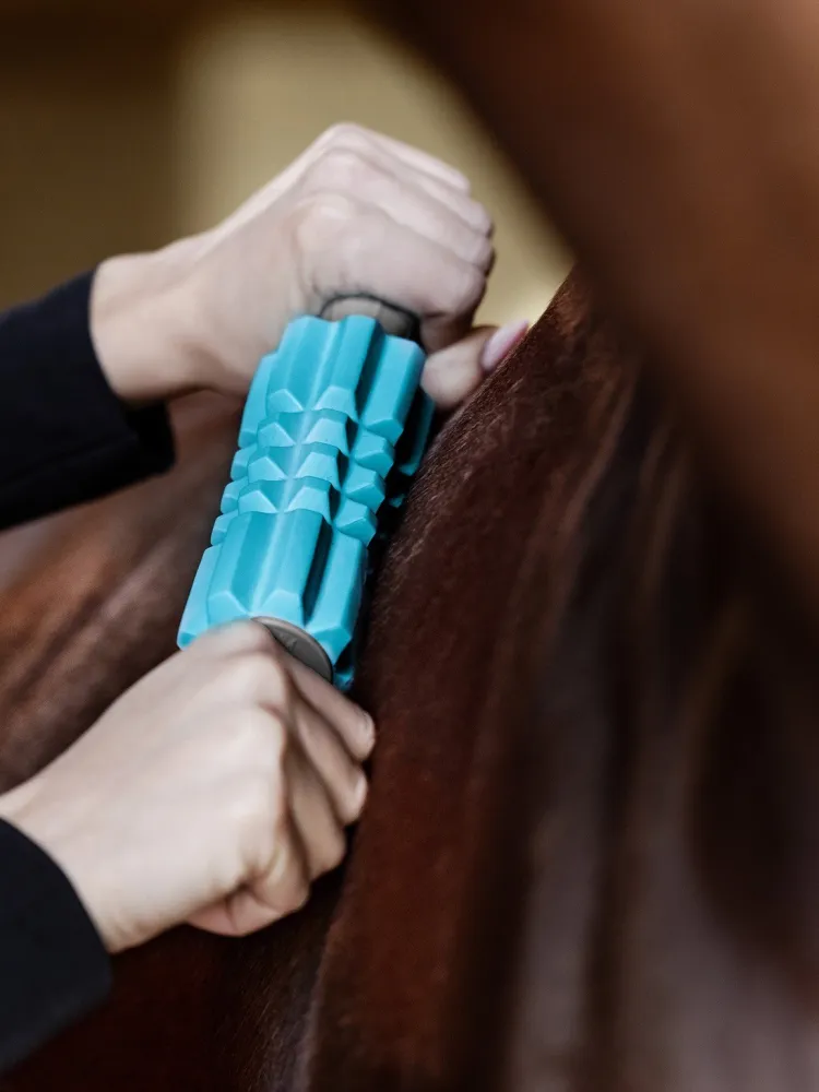 Hierontarulla Health & Care Fascia Waldhausen