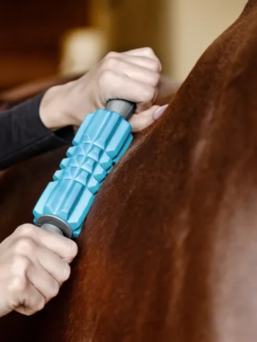 Hierontarulla Health & Care Fascia Waldhausen