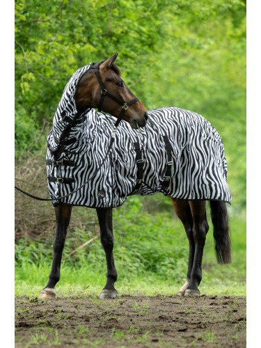 Hyönteisloimi kaulakappaleella Zebra HKM