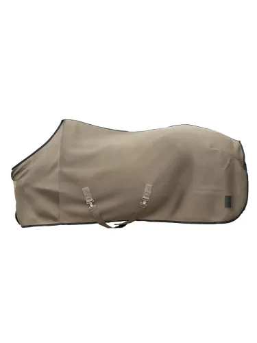 Hyönteisloimi Amalfi Lauria Garrelli