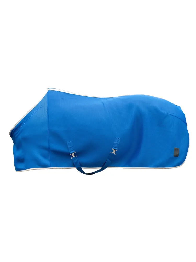 Hyönteisloimi Amalfi Lauria Garrelli