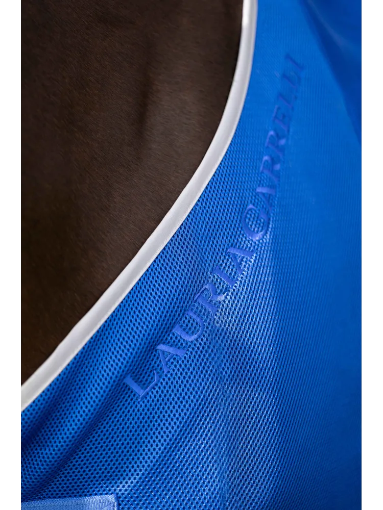 Hyönteisloimi Amalfi Lauria Garrelli