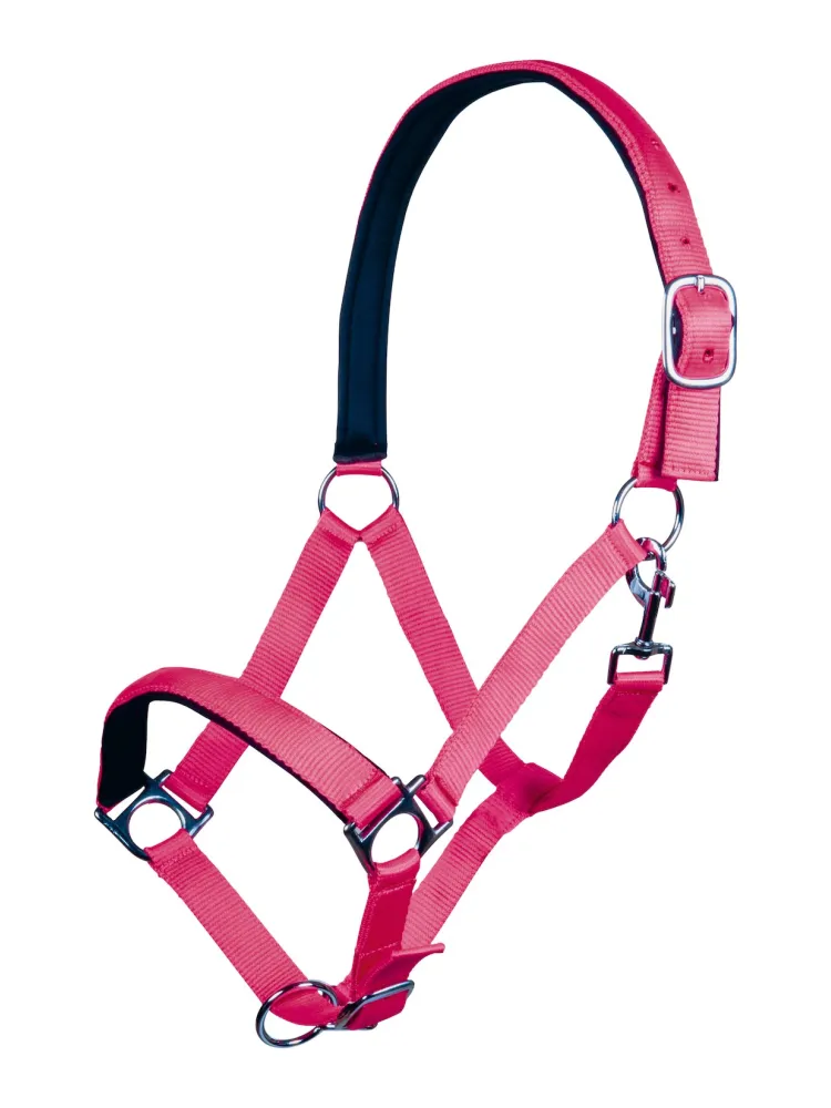 Riimu Stars Softice HKM