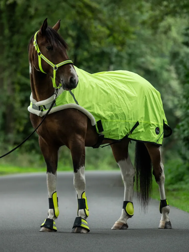 Ratsastusloimi Reflective HKM