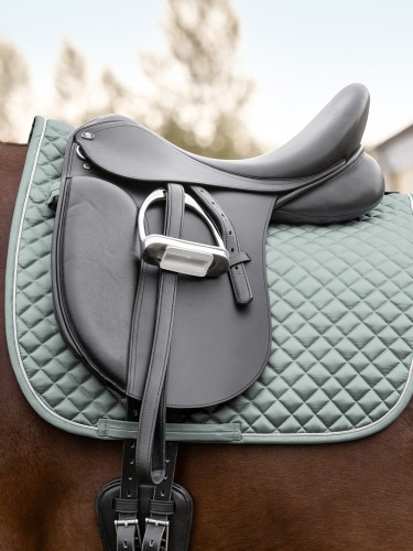 Koulusatulahuopa Felix Glam Waldhausen