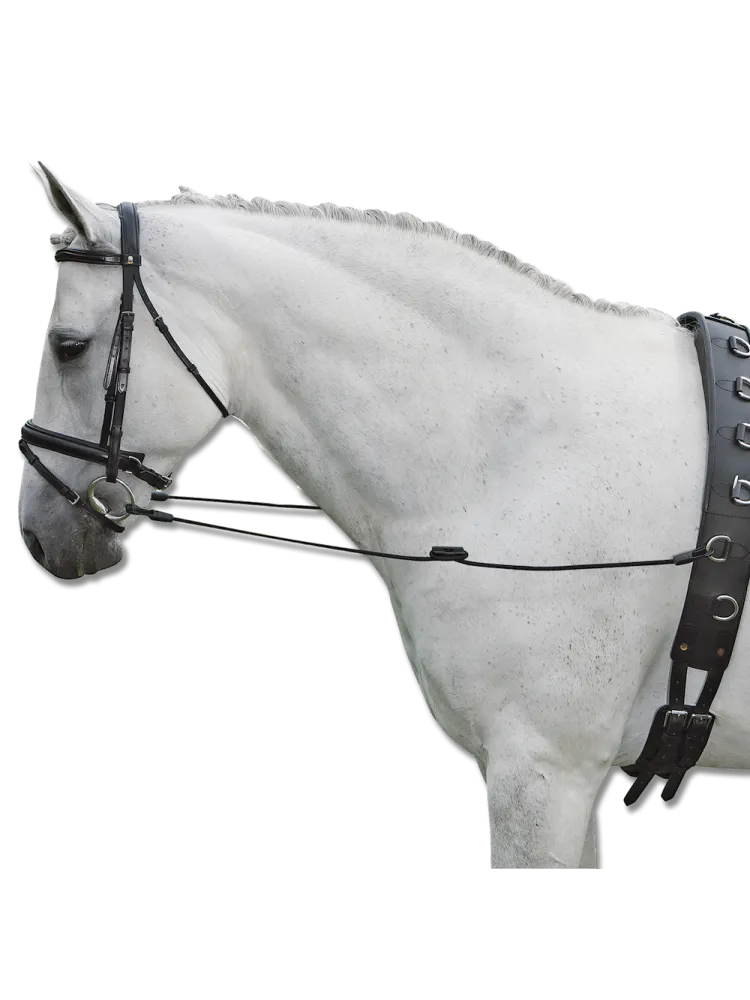 Sivuohjat Elastic Waldhausen