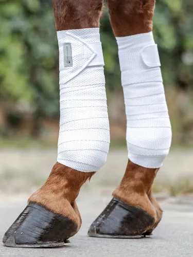 Pintelit Breath Waldhausen