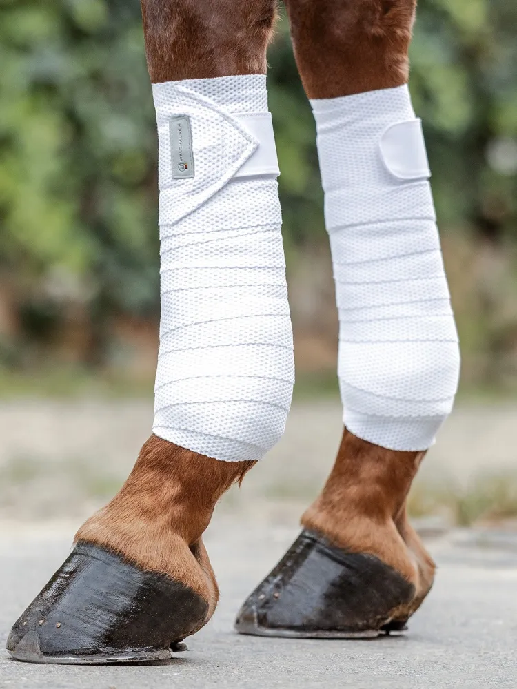 Pintelit Breath Waldhausen