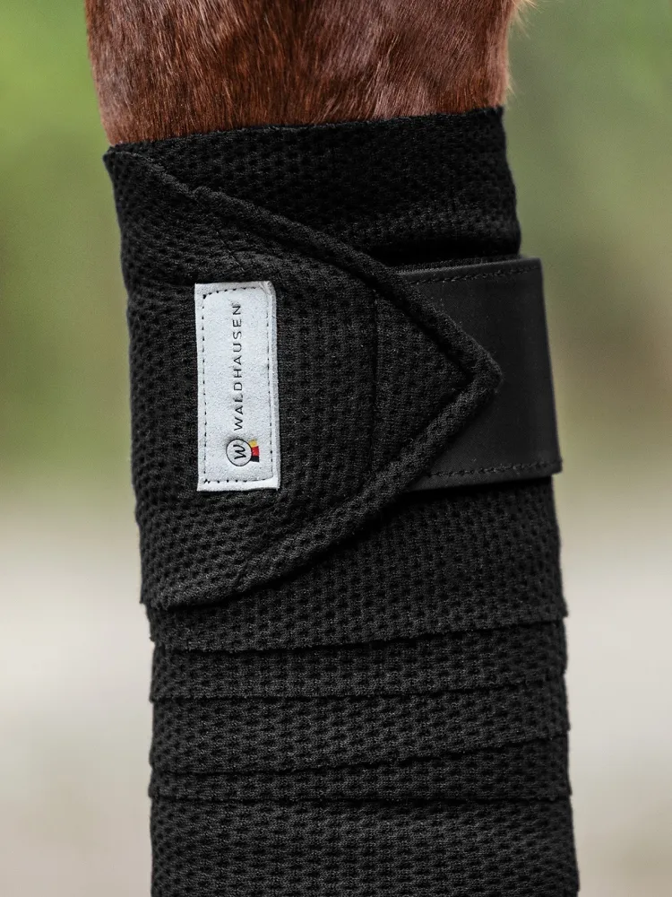 Pintelit Breath Waldhausen