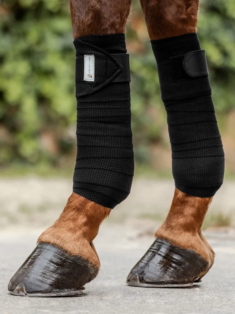 Pintelit Breath Waldhausen