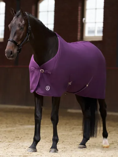 Fleeceloimi Fundamental Imperial Riding