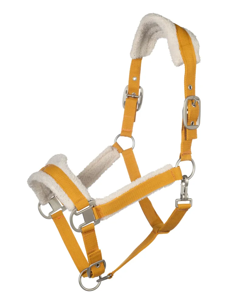 Riimu Arezzo Lauria Garrelli