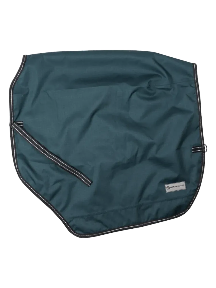 Harjoitusloimi Rain Salzburg 50g Waldhausen