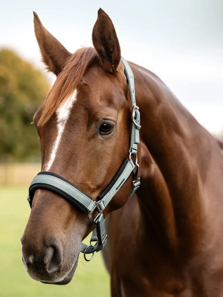 Riimu Soft Touch Waldhausen